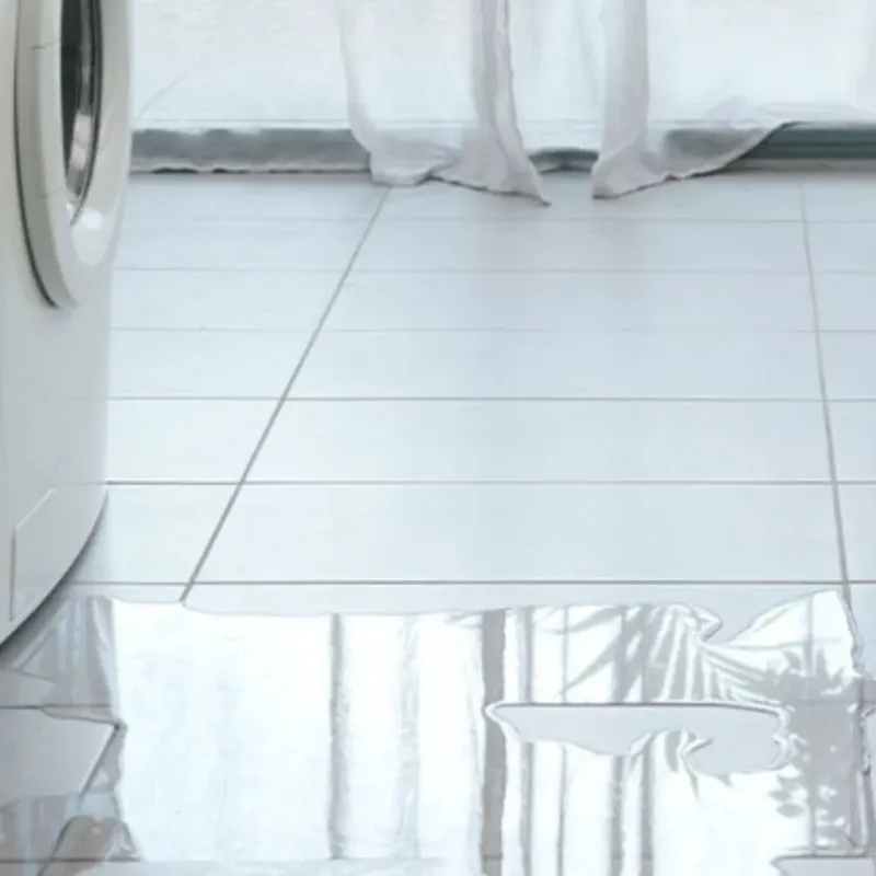 Appliance Leak Cleanup in Murrieta, CA
